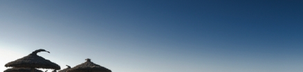 Fractional Marketing Image 4